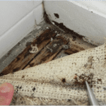 Water Intrusion on the Flooring of a Home