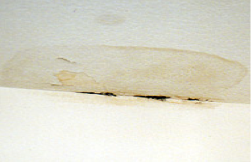Stain on the Ceiling of a Home Due to a Leak